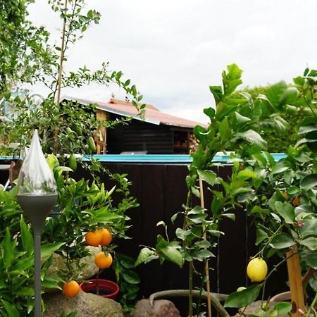 Pension Limone Ferienwohnung 1 Neu Lindenberg Εξωτερικό φωτογραφία